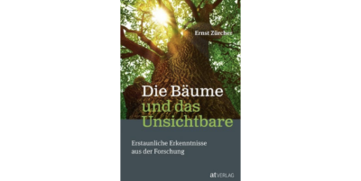 Literatur gemeinsam erleben – Donnerstag, 19. November 2026